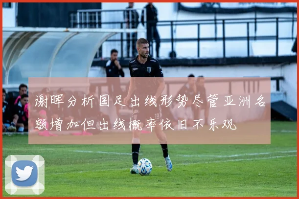 谢晖分析国足出线形势尽管亚洲名额增加但出线概率依旧不乐观