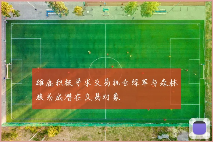 雄鹿积极寻求交易机会绿军与森林狼或成潜在交易对象