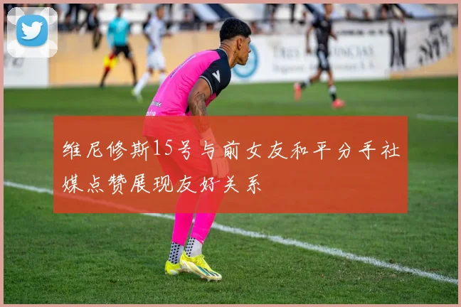 维尼修斯15号与前女友和平分手社媒点赞展现友好关系